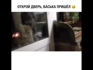 Открой дверь ваське