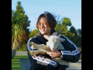 Those baby lambs r so cute