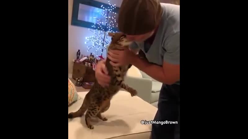 I wish i was that dudе