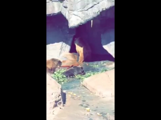 Сочная попка попец, sex, 18, попки, сиськи, fitnes ass, twerk