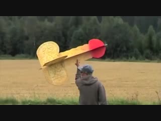 Flying penis and elon musk