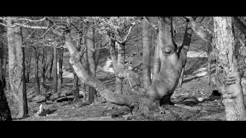 ”маркета лазарова” //1966, драма, история// франтишек влачил