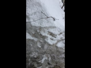 Анимешники live