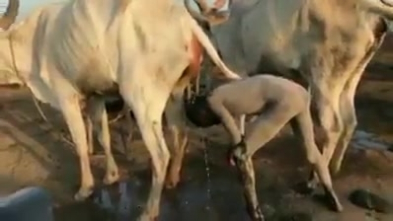 Киевская область 2024 рiк