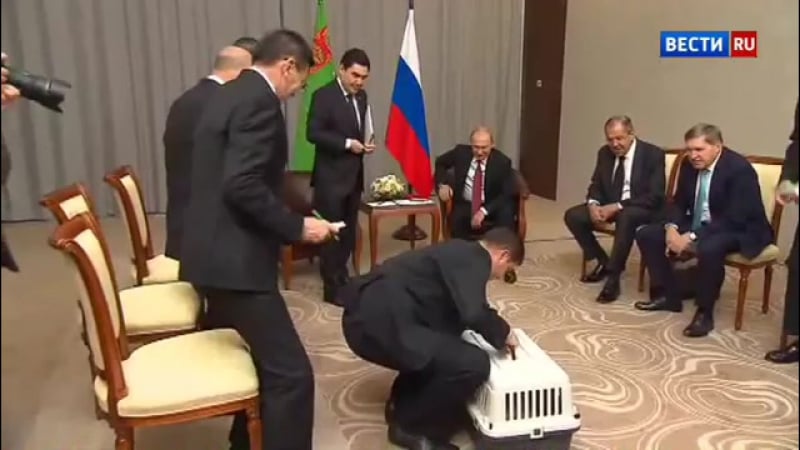 Президент туркмении гурбангулы бердымухамедов подарил президенту рф владимиру путину алабая по кличке верный