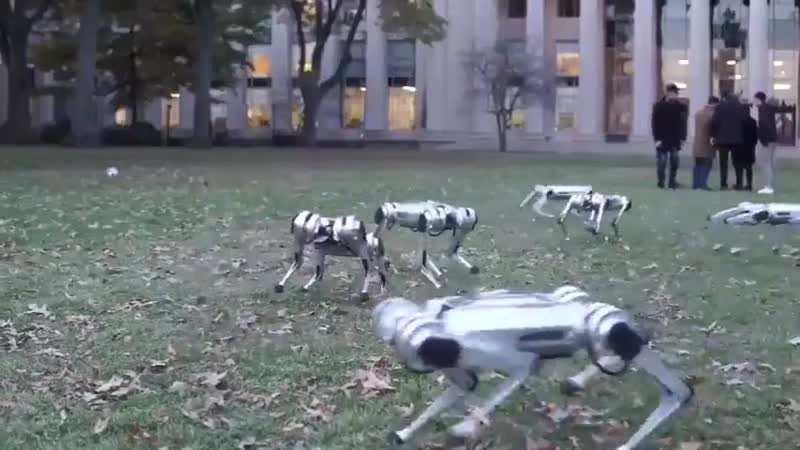 Загнивающий запад