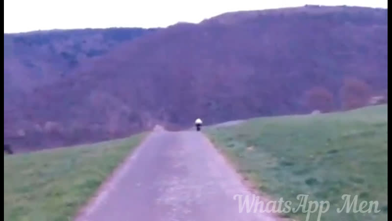 Садовая тачка на бензиновом двигателе