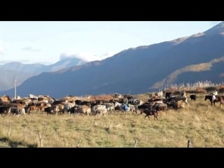 Mount kazbek georgia caucasus