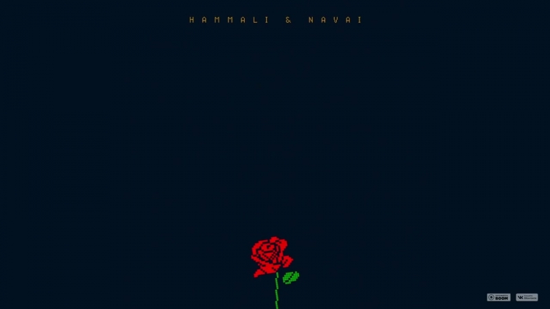 Hammali navai цветок