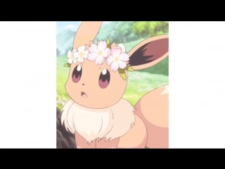 Eevee and sylveon amv candy candy