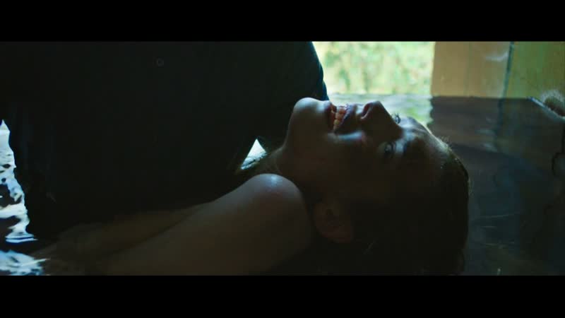 Хайде лизандр пустая чёрная клетка / haydée lysander black hollow cage ( 2017 )