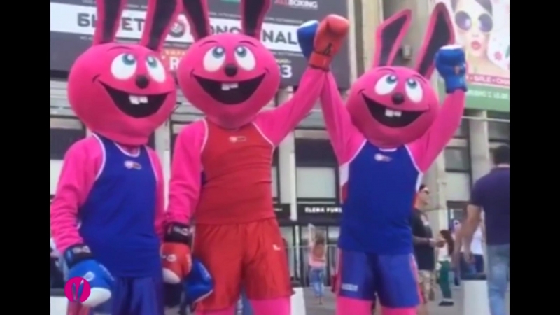 Розовый кролик в москве перед боем усик – гассиев 21 июля 2018 года