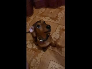 Sl mo vid 20201117 003939 mp4