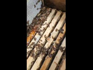 Продолжаем качать