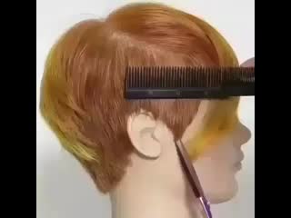 Aprel school 20200125 13 mp4