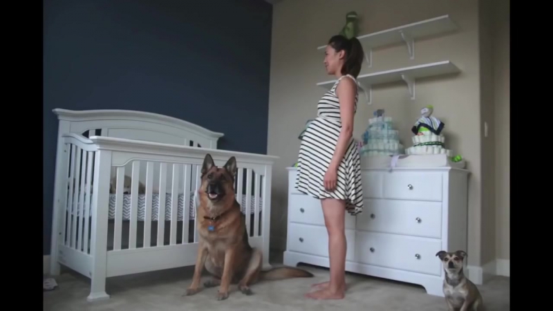 Американец снял таймлапс о беременности жены