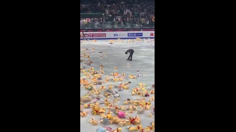 Фанатки закидали мягкими игрушками