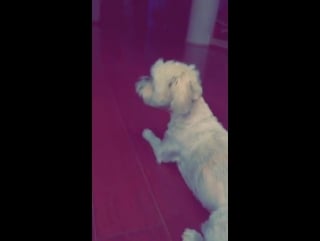 Inna @ barcelona bucurești august 18, 2015