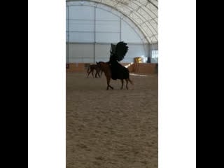 Лиза и хенесси