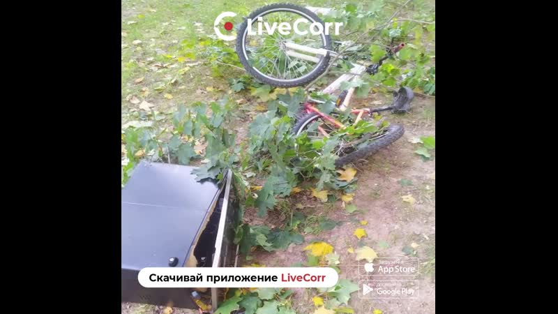 Голый мужчина молодыекошку, порезал женщину и с велосипедом спрыгнул с многоэтажки в москве