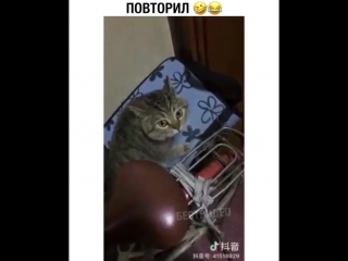 Повтори