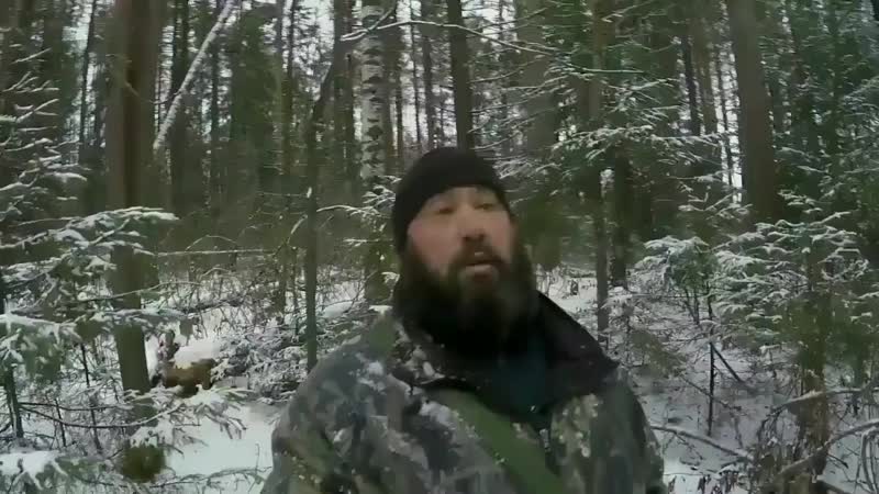 Солонец на зайца