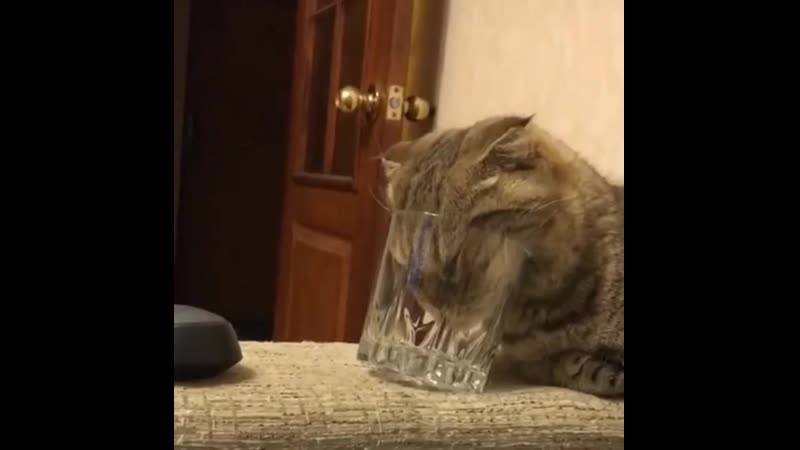 Бросаем пить)