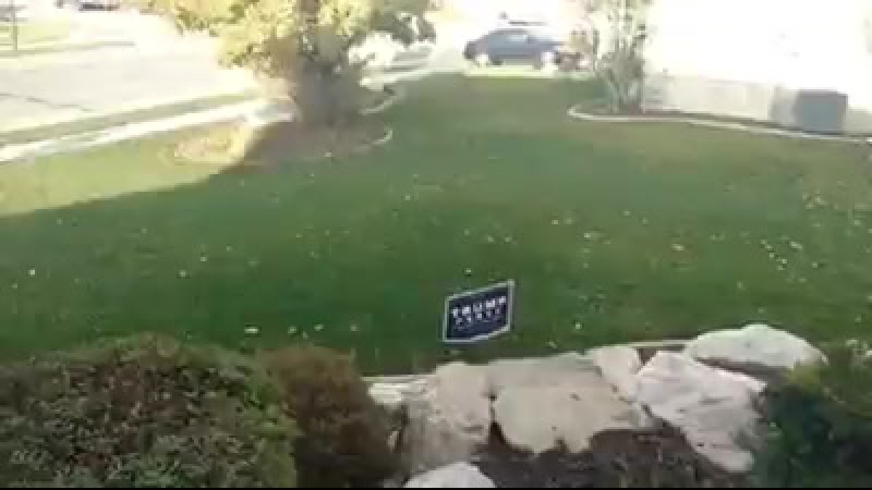 Таблички в поддержку трампа под напряжением