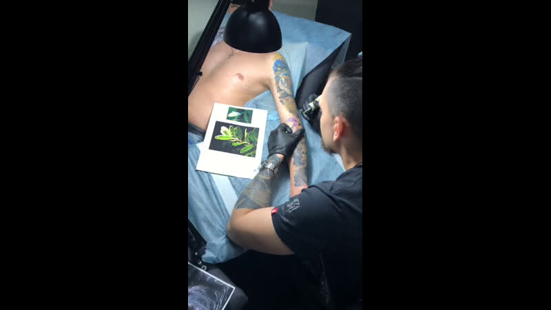 Эалипт но это не точно