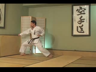 Hirokazu kanazawa mastering karate part 9 a master goes to hollywood