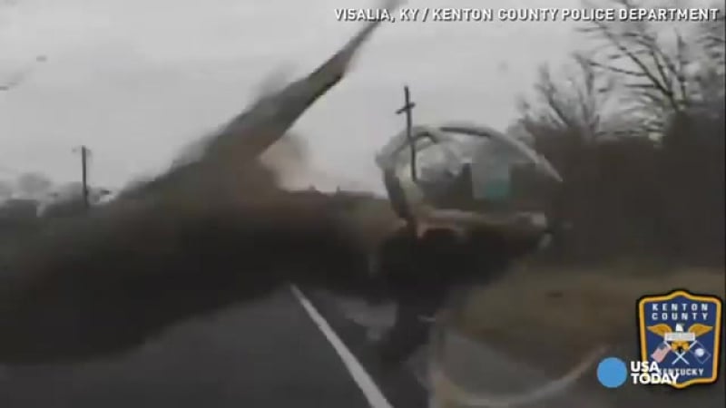 ✔ особое мнение олень санты клауса попал в ужасное дтп в америке