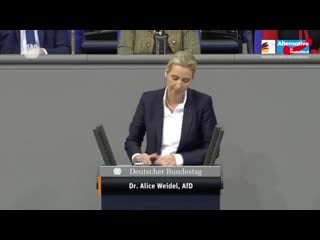 Für die bürger gibt es nichts zu feiern! alice weidel afd fraktion im