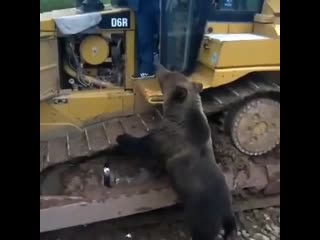 В русской глубинке mp4