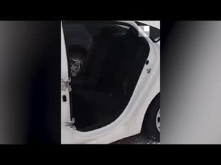 Воры иномарку раздели догола