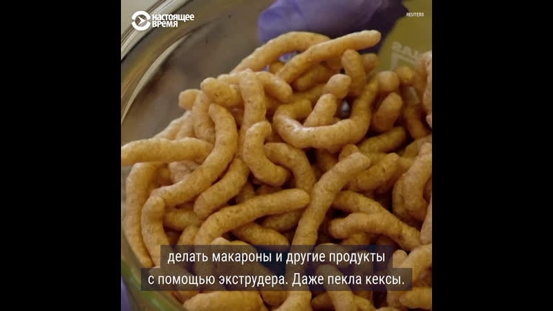 Ученые работают над созданием пищи из червей