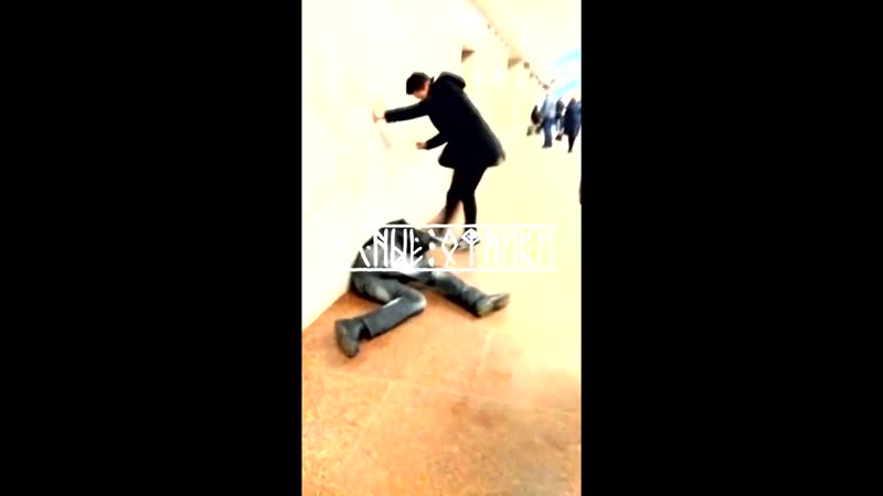 🌲лесные офники №22🌲молодые🌲