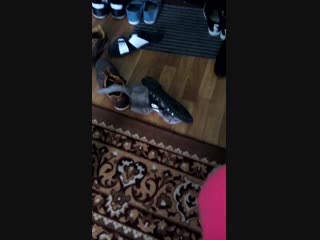 Фрося любит тапки