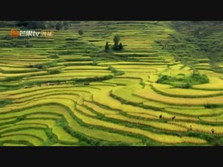 [181029] wild kitchen teaser