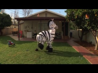 Молодые zebra rhett and link gmm