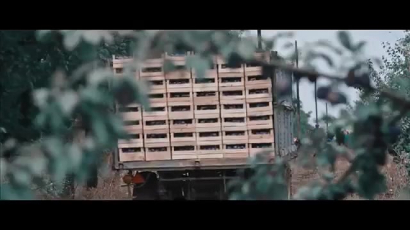 Молдавские фермеры перепели песню queen