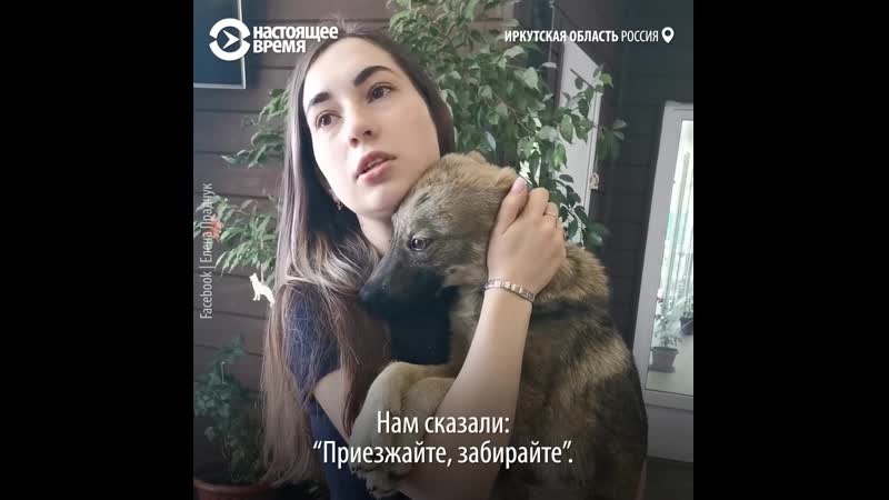 Добровольцы спасают молодые в затопленных районах иркутской области