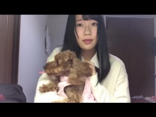 20170111 showroom hattori yuna