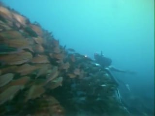 Повторное открытие мира #43 южная африка алмазная пустыня