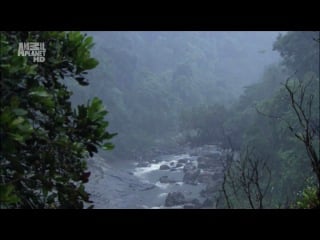 Планета мутантов мадагаскар