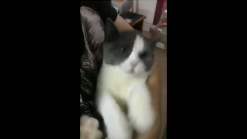 Нытик