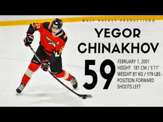 The best of yegor chinakhov columbus blue jackets prospect