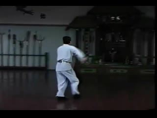Bak sil lum (northern shaolin) spinning chain whip sample