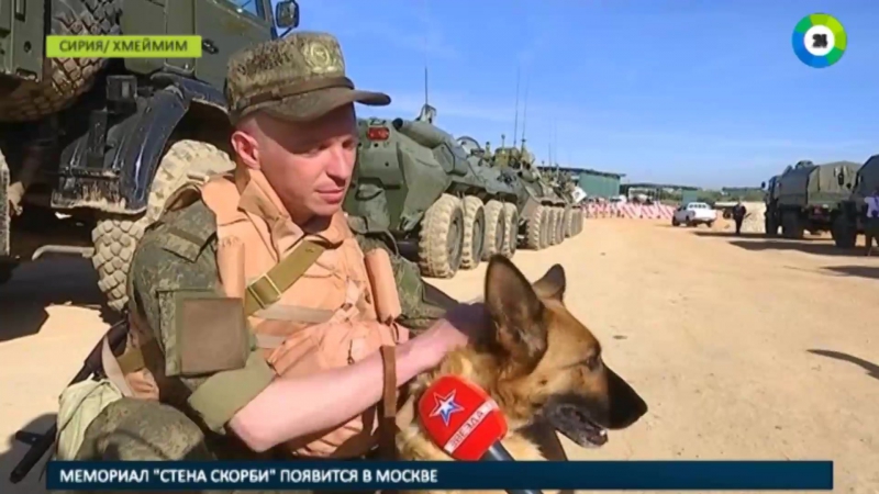 Российские саперы выдвинулись в пальмиру