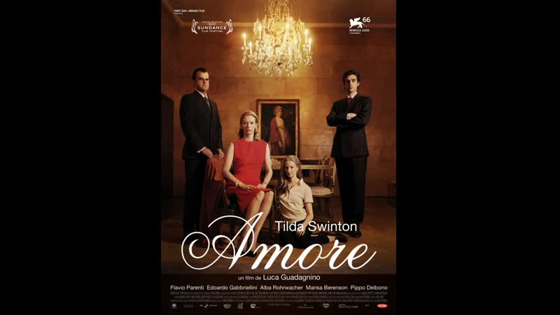 Я – это любовь io sono lamore (2009) италия