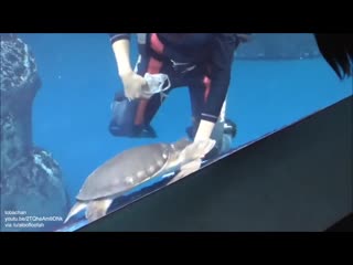 Понравились часики (vhs video)